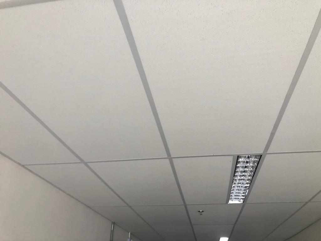 WhatsApp Image 2022-06-01 at 11.11.13.jpeg