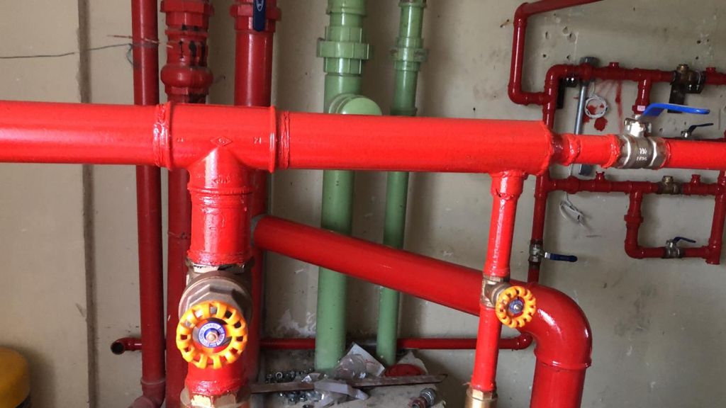 WhatsApp Image 2022-06-01 at 11.11.09.jpeg